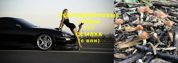гидра Горно-Алтайск