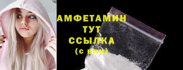 гидра Горно-Алтайск
