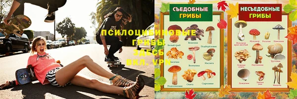 гидра Горно-Алтайск