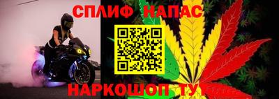 ПСИЛОЦИБИНОВЫЕ ГРИБЫ Ирбит