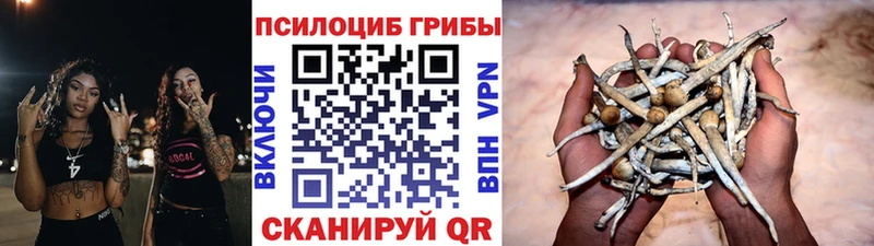 Купить где  Муравленко  Галлюциногенные грибы Magic Shrooms 