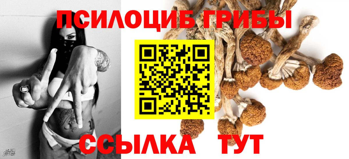 Псилоцибиновые грибы Cubensis  Вход с VPN  Галлюциногенные грибы мицелий  Муравленко 